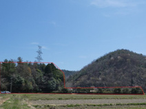 丹波篠山市山田　山林の画像