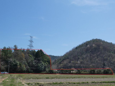 【外観】 | 丹波篠山市山田　山林