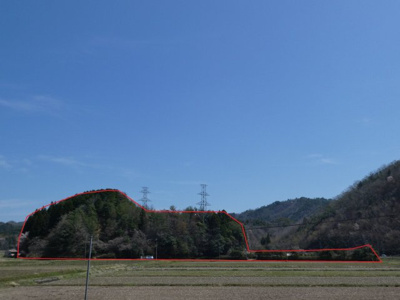 【外観】 | 丹波篠山市山田　山林