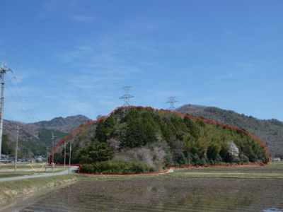 【外観】 | 丹波篠山市山田　山林