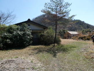 【外観】 | 丹波篠山市山田　山林