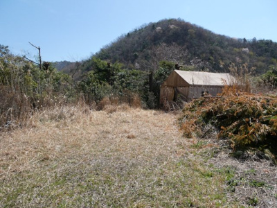 【外観】 | 丹波篠山市山田　山林