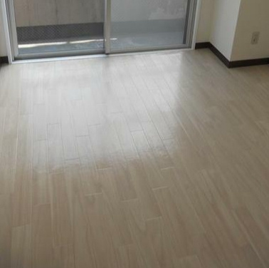 サンヨーハイツの居間・リビング