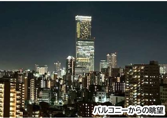 大阪市天王寺区タワーマンション【リバーガーデンタワー上町台筆ヶ崎】の展望