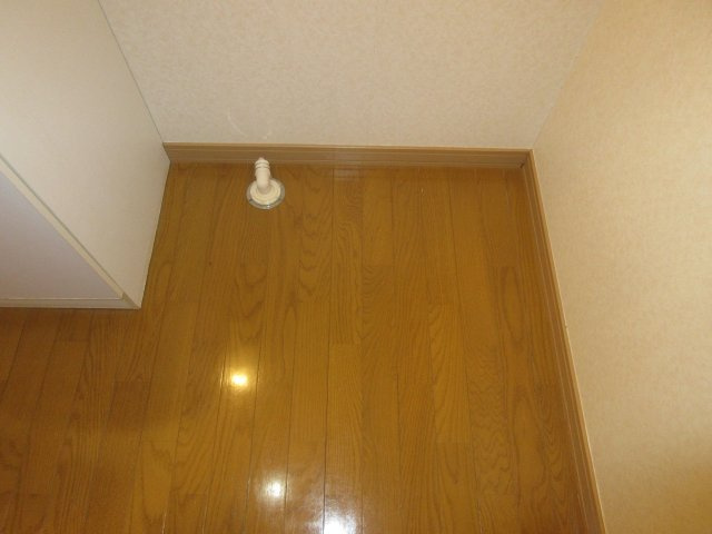ivyｅEのその他
