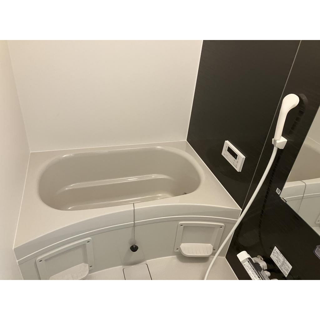 REGIES近大southⅡの浴室