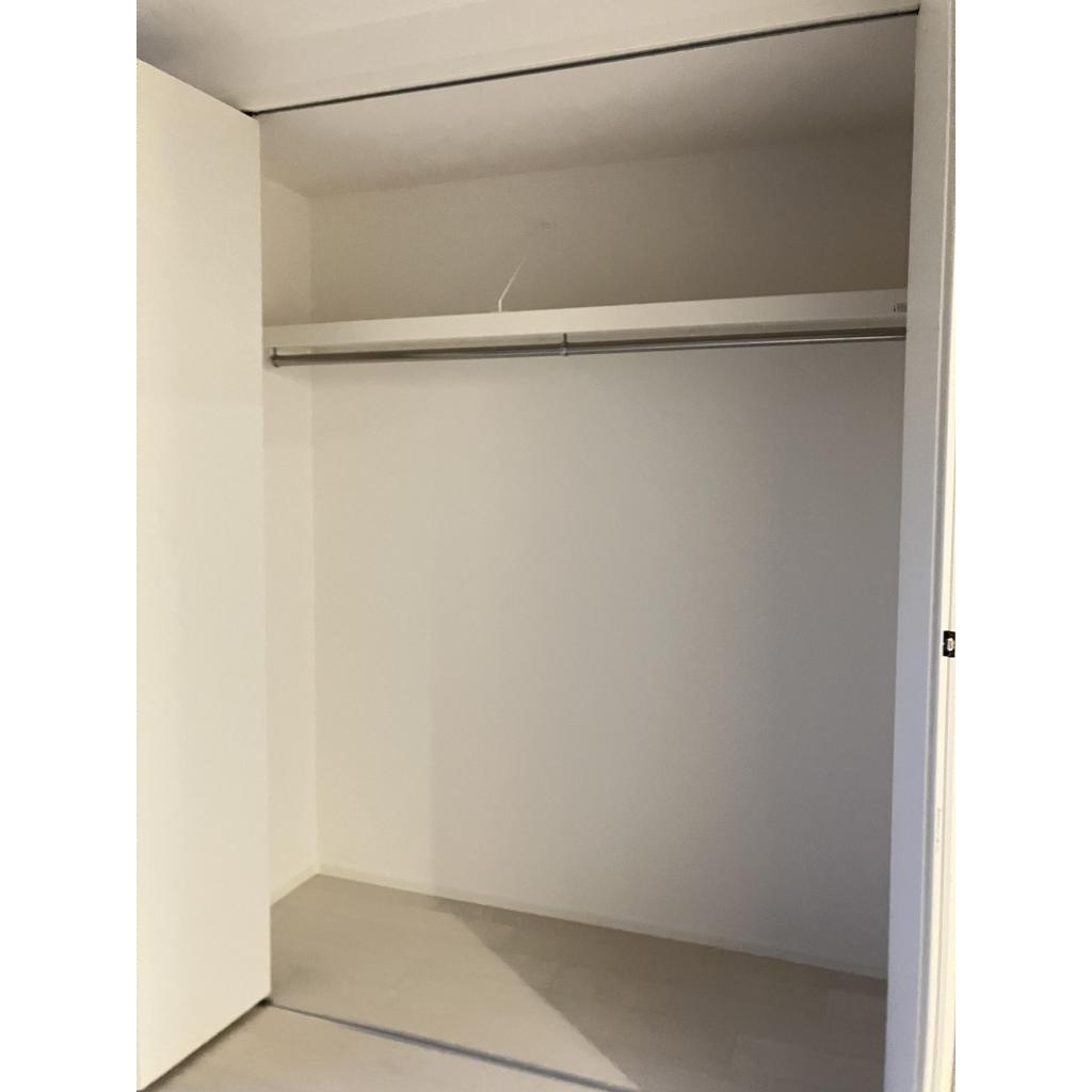 REGIES近大southⅡの収納