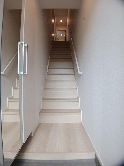 ヴィーナスのその他