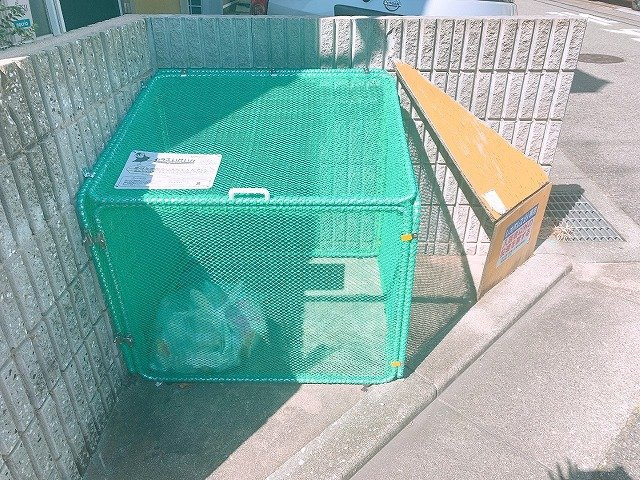 レオパレスアドバンス芦屋のその他