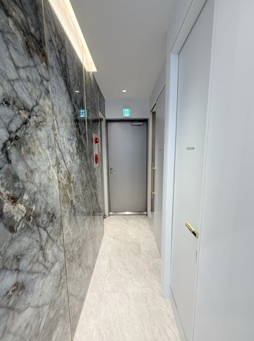 ＧＩＮＺＡ　ＡＲＲＯＷＳ　9F　の玄関