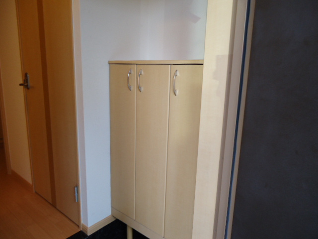 ハイムルミナス　　 刈谷市近郊の賃貸はクラスホーム刈谷店の収納|玄関（下駄箱下）