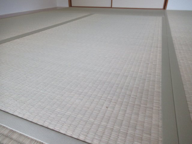 ルゼフィール井吹台　３ＬＤＫの内装|物件の内装です