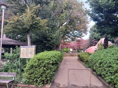 【周辺】 | ヒカルサ西東京向台イースト | 田無市民公園まで213m