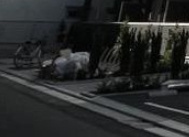 プローシュの駐車場|駐輪場