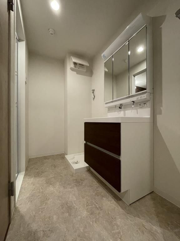 プローシュの洗面所