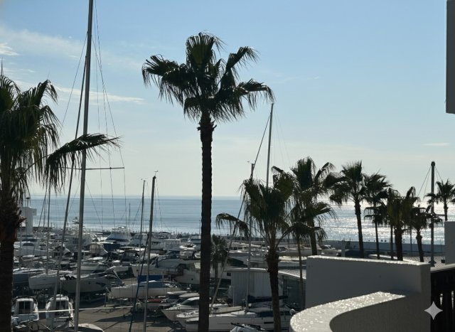 *海を遠望*逗子マリーナ1号棟の画像