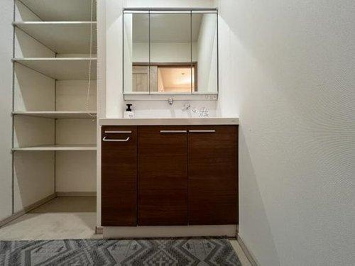 半田市平地町3丁目の洗面所|洗面　シャワー付き♪　収納棚完備！