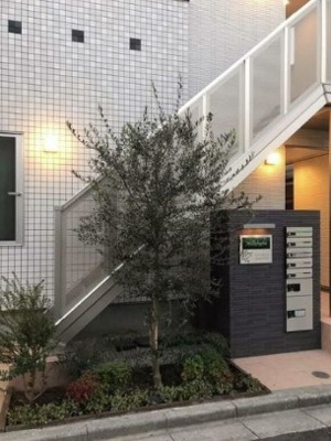 【エントランス】 | ミルフォリア