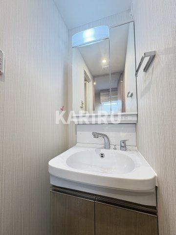 レジュールアッシュ緑橋駅前の洗面所