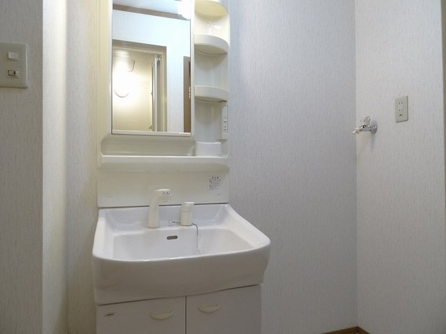 サンハイム柿ノ木Ａの洗面所