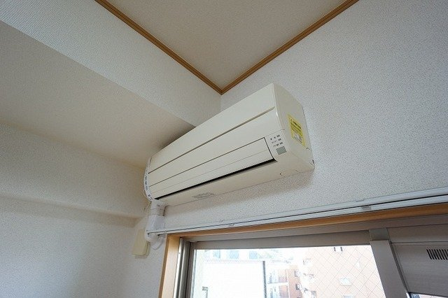 アン　フレーシュのその他