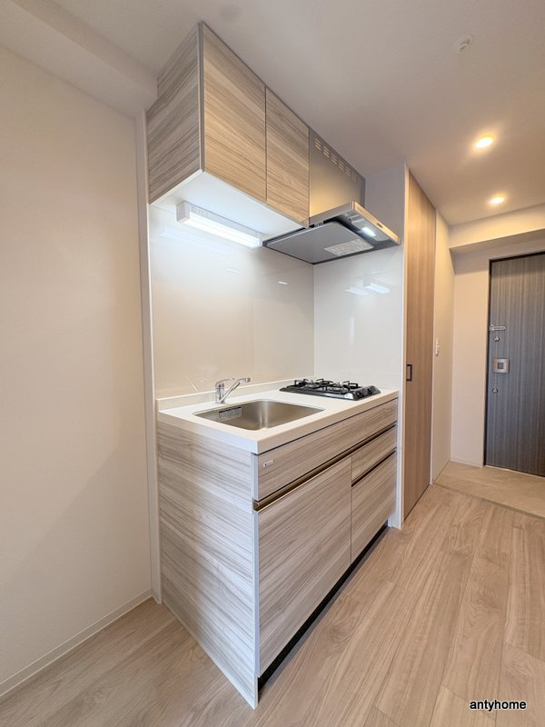 レジュールアッシュ緑橋駅前　仲介手数料無料のキッチン