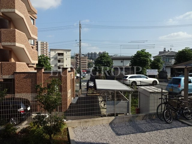 【展望】 | ビオレータ