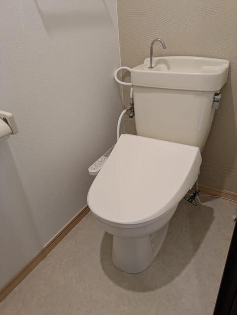 Ｅナカジマのトイレ