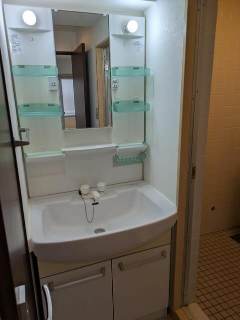 Ｅナカジマの洗面所