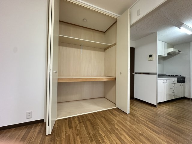 ビューテラス大新の収納