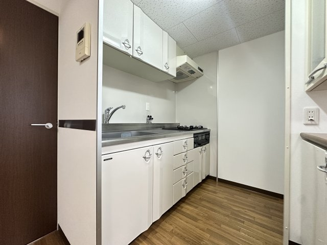 ビューテラス大新のキッチン