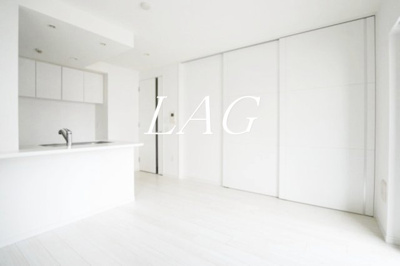 【居間・リビング】 | ブレシア新御徒町 | 洋室のお部屋です。