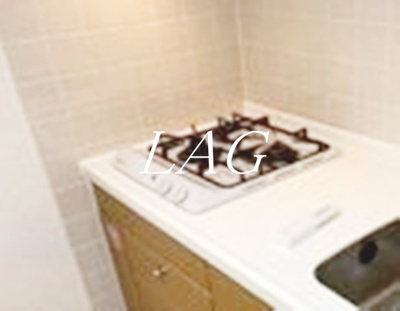 【その他】 | ＵＵＲコート錦糸町