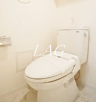 【トイレ】 | メインステージ押上Ⅲ | トイレです。