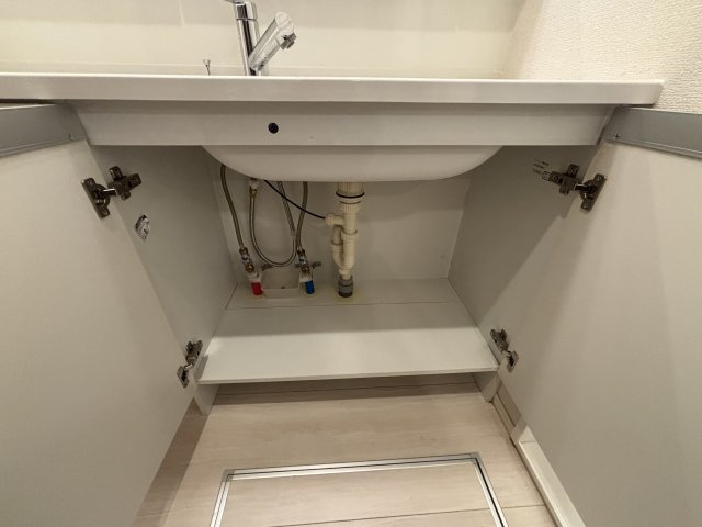 ブルーノ篠原中の洗面所