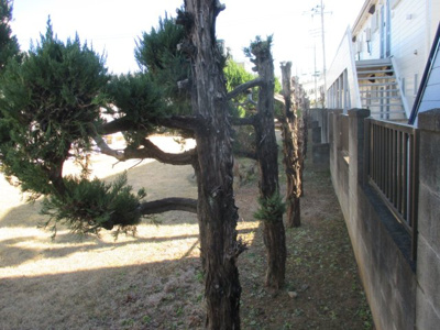 【外観】 | 深谷市東大沼 1450万 土地