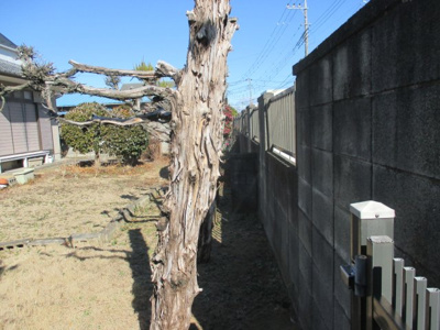 【外観】 | 深谷市東大沼 1450万 土地