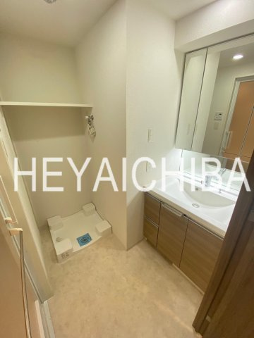 MAXIV西日暮里アレグリアコートの洗面所