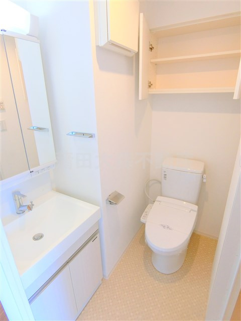 アイルカナーレ品川南の洗面所