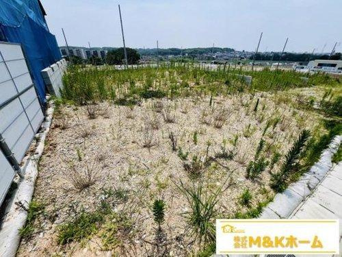 知多市日長字辰新田　全8区画　92号地の外観|R7.7.3撮影　現地写真