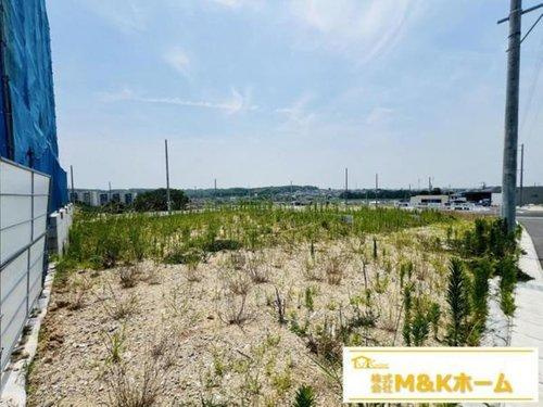 知多市日長字辰新田　全8区画　92号地の外観|R7.7.3撮影　現地写真