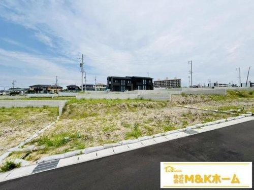 知多市日長字辰新田　全8区画　115号地の外観|R7.8.10撮影　現地写真