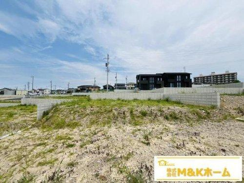 知多市日長字辰新田　全8区画　115号地の外観|R7.8.10撮影　現地写真