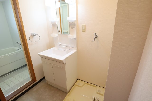 ベルコリーヌ真美の洗面所