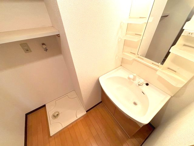 ボワリジェールOKAの洗面所