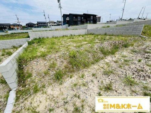 知多市日長字辰新田　全8区画　114号地の外観|R7.8.10撮影　現地写真