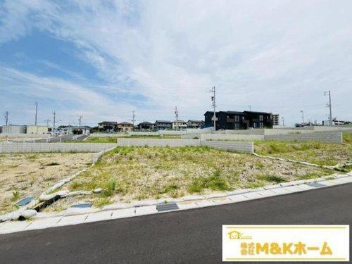 知多市日長字辰新田　全8区画　113号地の外観|R7.8.10撮影　現地写真