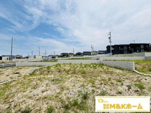 知多市日長字辰新田　全8区画　113号地の外観|R7.8.10撮影　現地写真