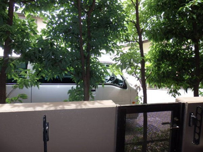 【展望】 | フェニックス桜上水