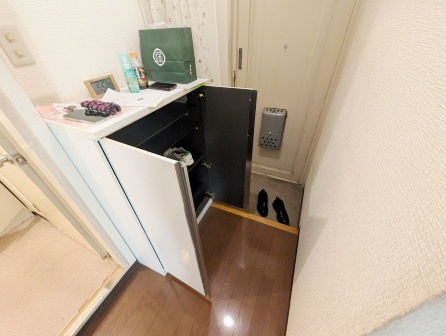 さいたま市桜区西堀３丁目のアパートの玄関|きれいな玄関です